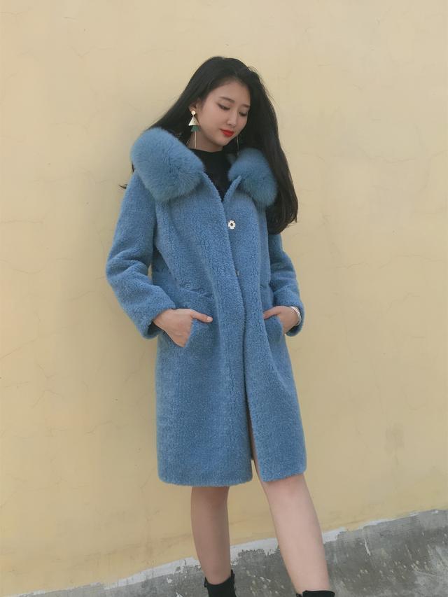 三七花最新價格揭秘，溫馨小故事中的尋找之旅