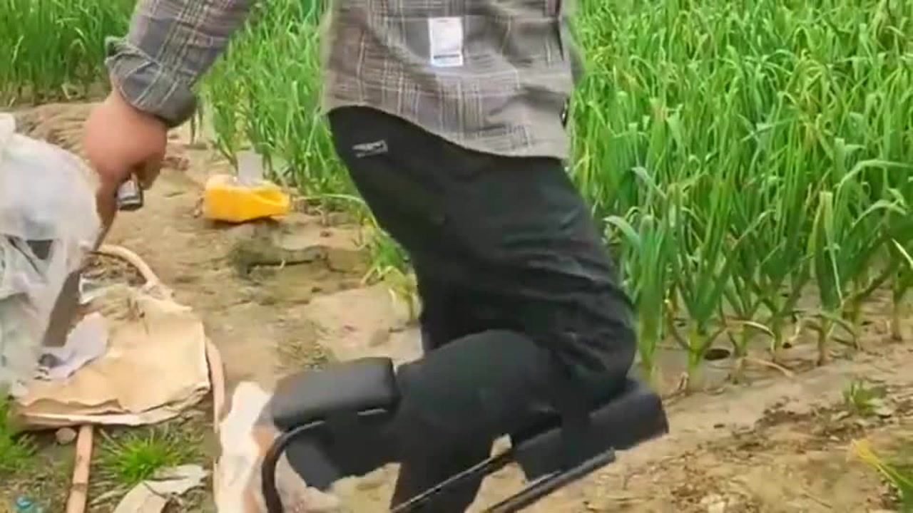 最新挖蒜工具，心靈與自然的完美交融