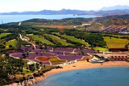 心悅海島探險攻略，最新任務(wù)指南與探險體驗