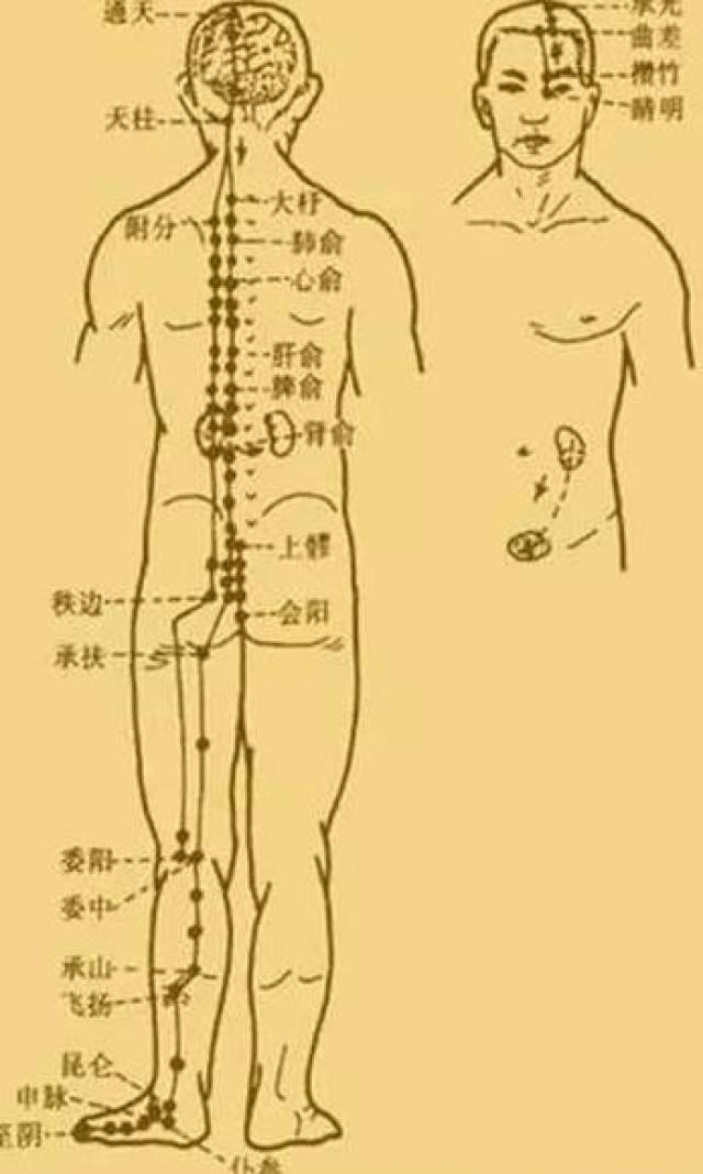 最新經(jīng)絡(luò)操，探索古老奧秘，重塑健康身姿