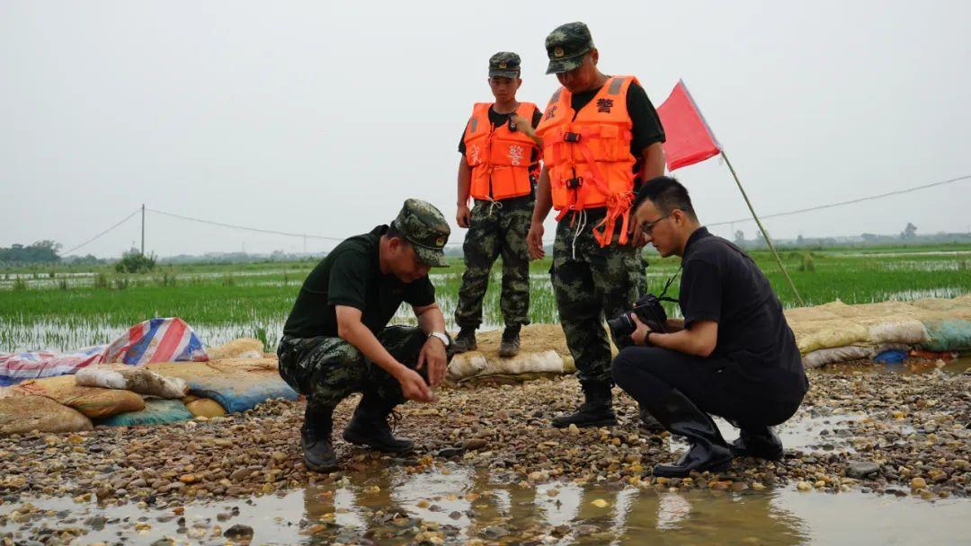 永修最新聞，背景探尋與時(shí)代地位的重要事件回顧