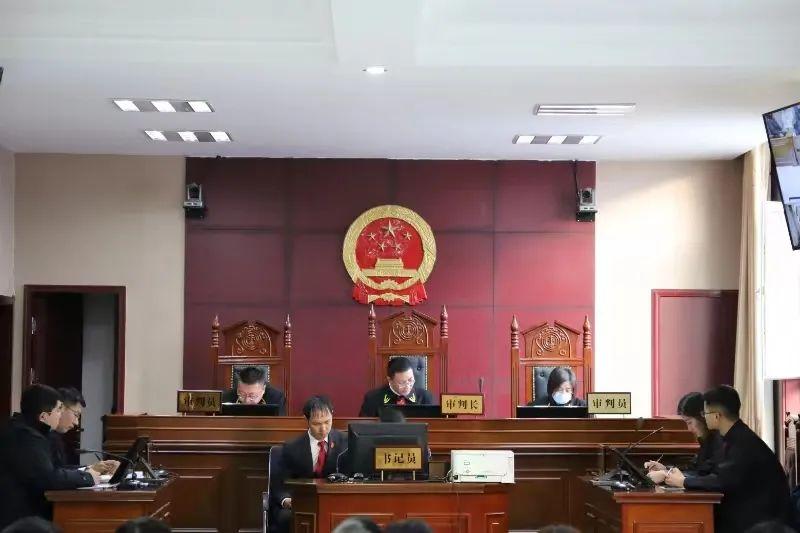 偏關(guān)最新案件深度解析，揭示真相，關(guān)注社會(huì)公正與公平
