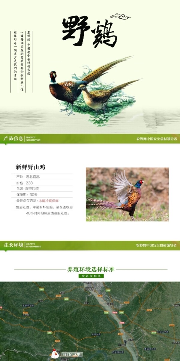 深度剖析，最新山雞的背景、事件與地位概述