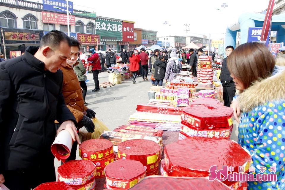 淘元素最新，淘淘的奇妙冒險(xiǎn)之旅與友情的溫暖體驗(yàn)