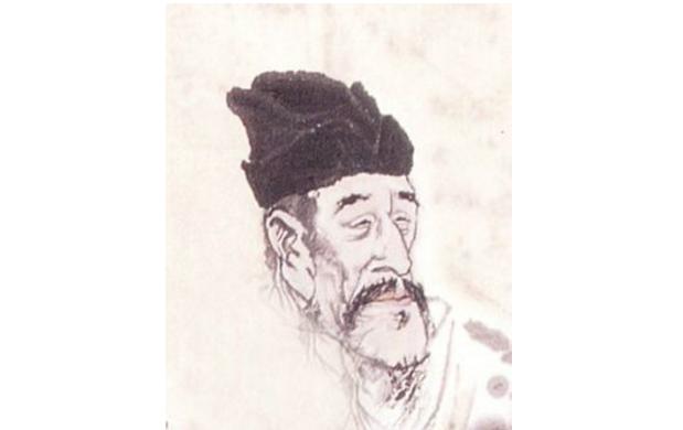 最新孤雁圖片，展現(xiàn)自然之美與深意的瞬間