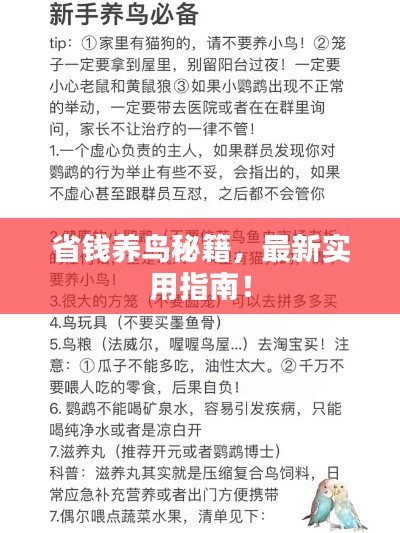 最新養(yǎng)鳥法規(guī)解析，觀點(diǎn)闡述與深度探討