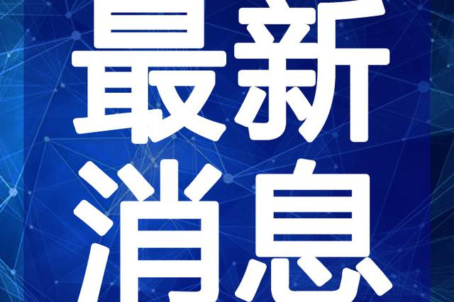 最新半仙視頻深度解析與觀點闡述，揭秘內(nèi)容魅力與獨特之處