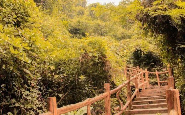 小99最新，科技、生活與娛樂(lè)的交融之地