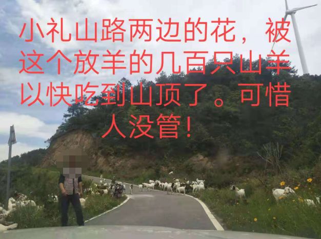 大悟最新路，探索未知，自信成就夢(mèng)想之旅的啟程