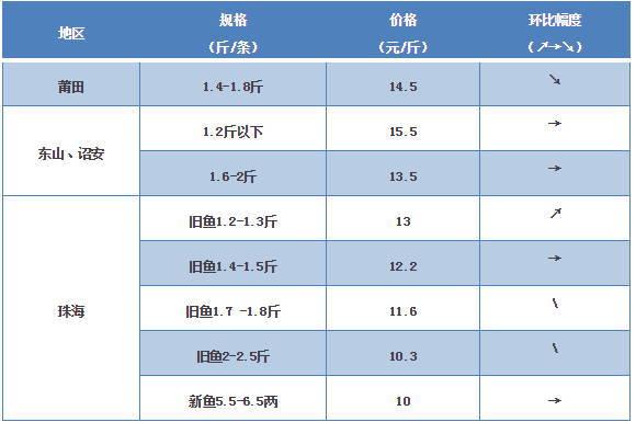 探索海鮮市場秘密，最新鱸魚價格一覽