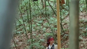 原野小年最新風(fēng)情，小巷深處的獨(dú)特魅力