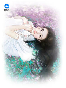 最新豪婿，小巷深處的獨(dú)特風(fēng)情