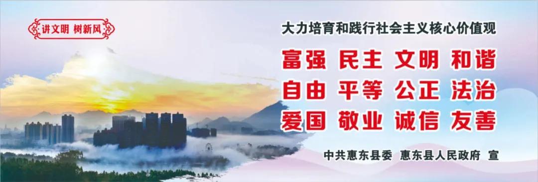 惠州肺炎最新動態(tài)，小巷深處的獨特小店背后的故事