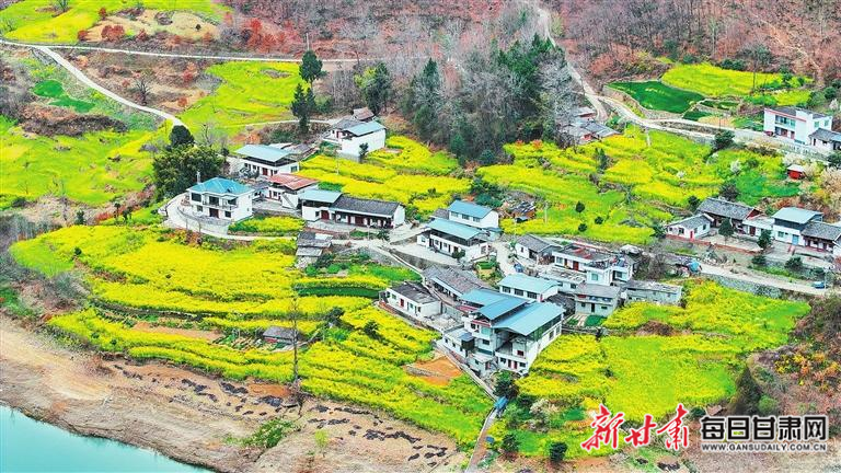 揭秘文縣，歷史背景、重大事件與時代地位全景展示