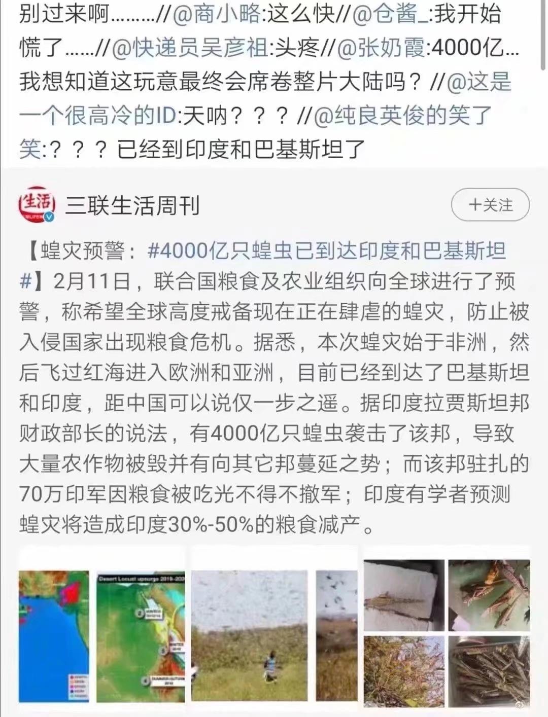 蝗蟲(chóng)最新動(dòng)態(tài)，防治與監(jiān)測(cè)的全面指南