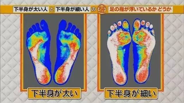 最新地趾論述，探索、爭(zhēng)議與觀點(diǎn)綜述