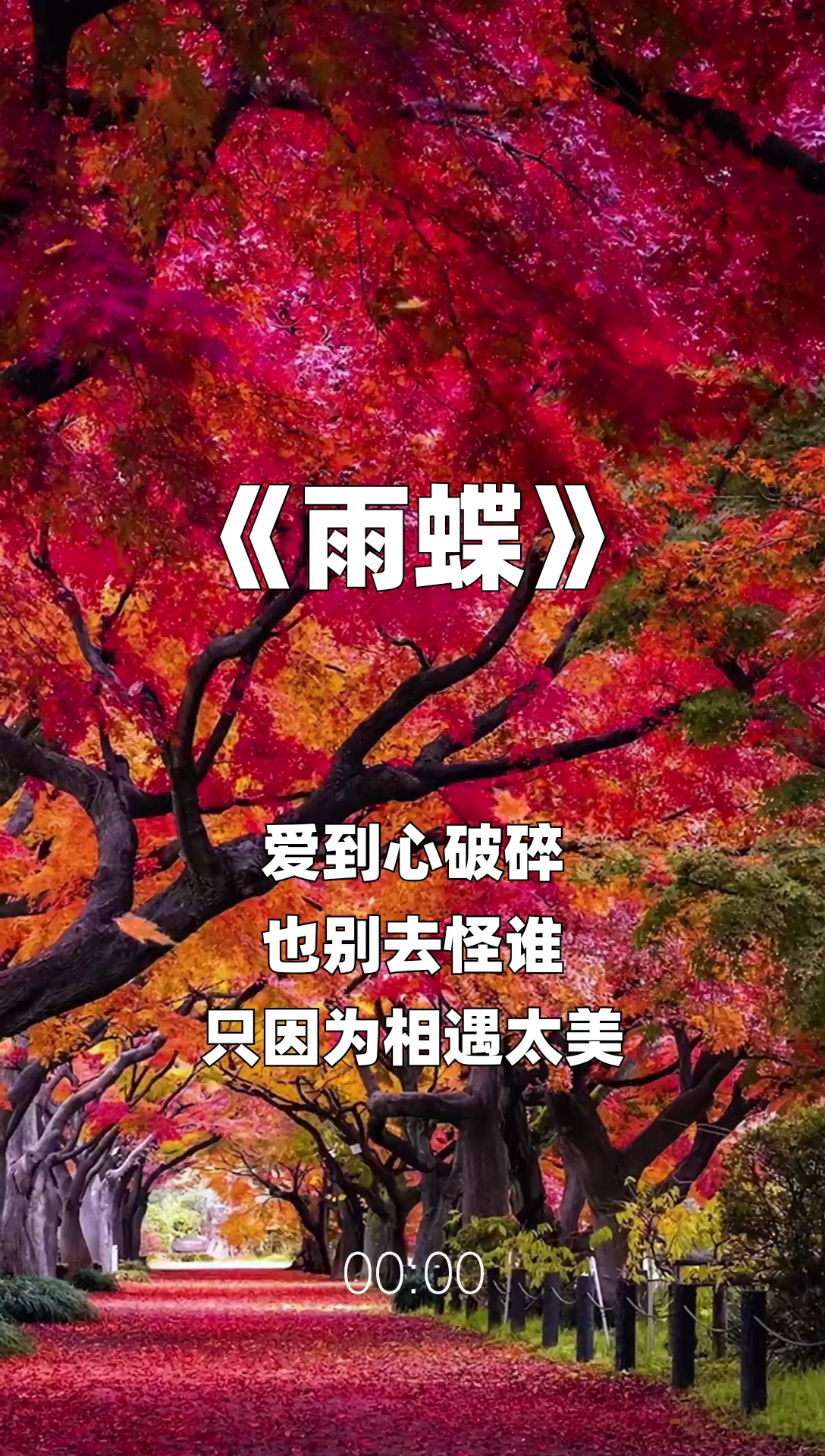 雨蝶最新步驟指南，如何完成任務(wù)或?qū)W習(xí)技能？