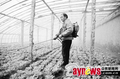 最新農(nóng)藥抽檢結(jié)果出爐，守護(hù)農(nóng)田安全，你我他的共同責(zé)任