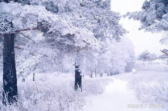 冬日暖陽(yáng)下的溫馨日常，最新冬美文精選