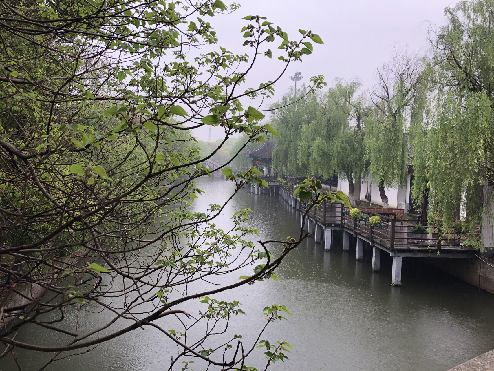 江南煙雨最新，自信與成就感的成長之旅