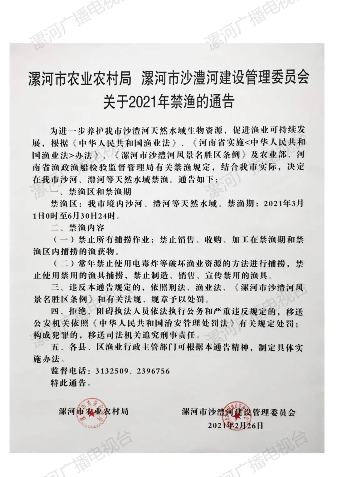 漯河最新通告，探索自然美景，尋覓內(nèi)心寧靜與平和之旅