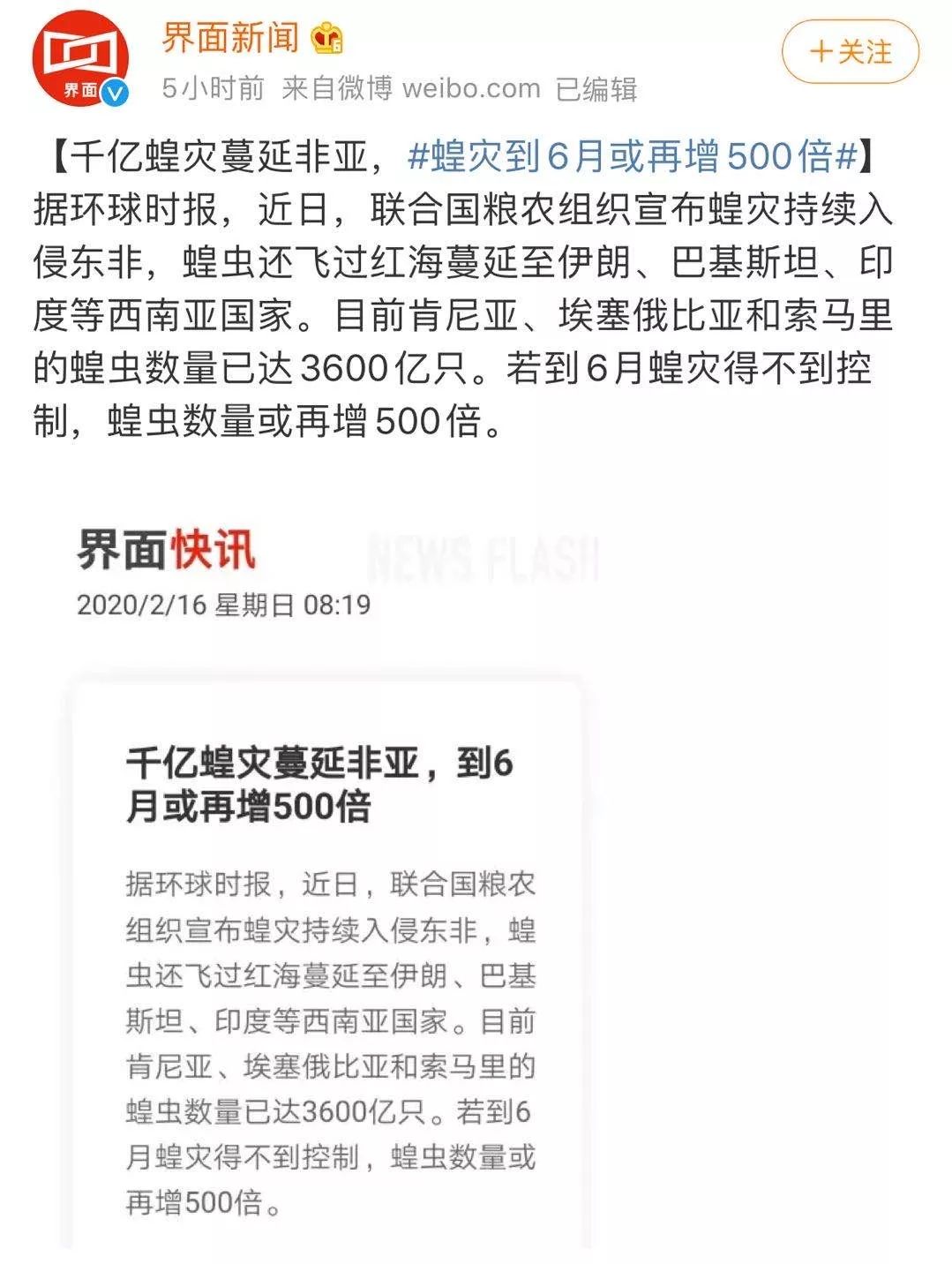 世界蝗災(zāi)最新動態(tài)，探索自然美景的輕松之旅