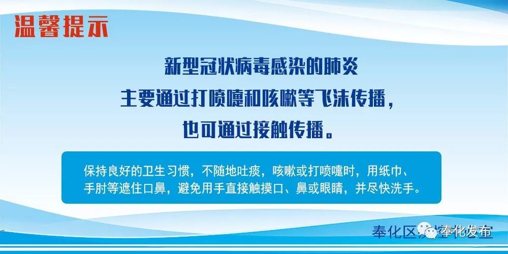 余姚最新確診背后的自然探索之旅，重拾心靈寧靜與平和