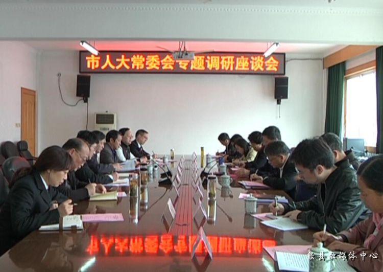 安徽歙縣最新動態(tài)，小巷深處的驚喜