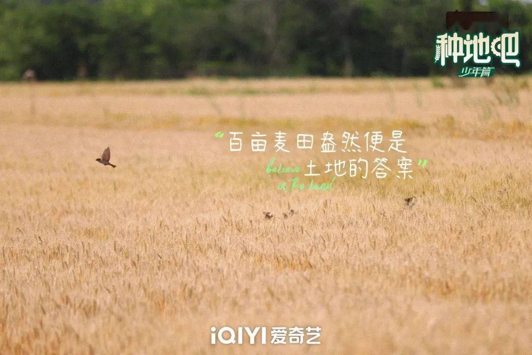 種地吧最新語(yǔ)錄，探索未來(lái)農(nóng)業(yè)的高科技魅力