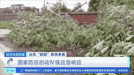 超強臺風(fēng)鸚鵡來襲，最新路徑動態(tài)全解析???