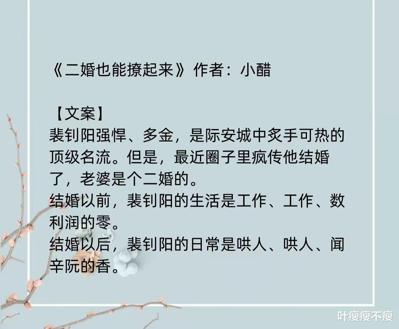 最新二婚小說，小巷深處的浪漫故事